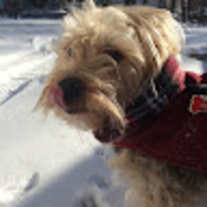 Meet your Posher, Julia